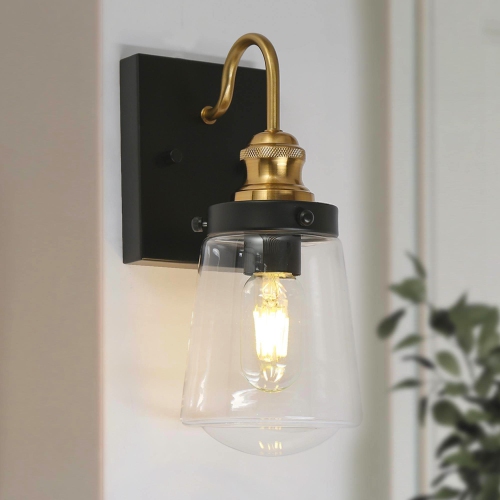 1-Light Black and Brass Wall Sconce with Clear Glass Shade
