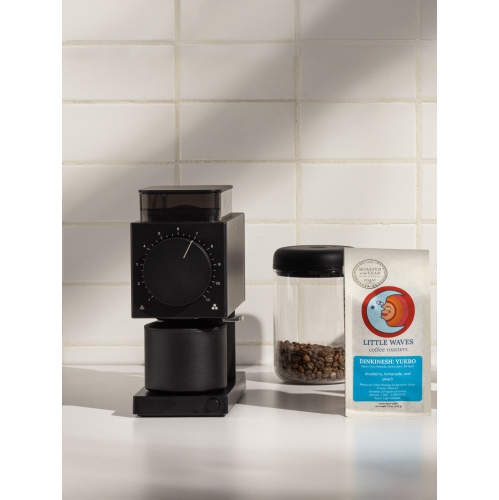 FELLOW Ode Brew Grinder (120V) - White