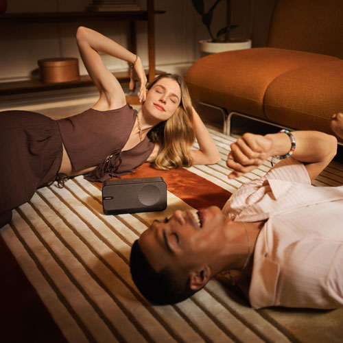 Bose SoundLink Home Bluetooth Wireless Speaker - Cool Grey