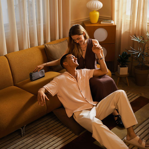 Bose SoundLink Home Bluetooth Wireless Speaker - Cool Grey