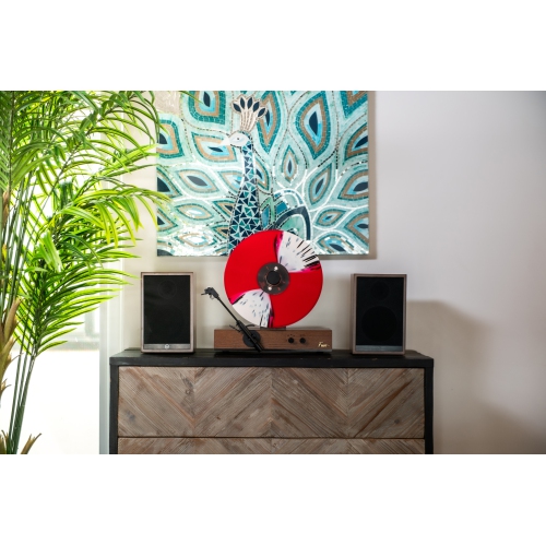Fuse GLD Vertical Vinyl Record Player with Black Trim, External Speakers, Audio Technica Needle, and Bluetooth In/Out