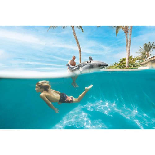 Intex Great White Shark Ride-On Inflatable Float