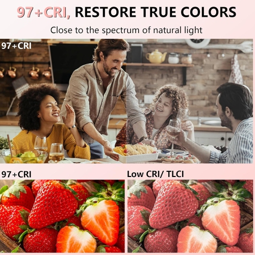 Selfie Light - LED Phone Light USB-Rechargeable - Portable Photo Light with 97+ CRI, Up to 6500K Color Temperature Camera Light for Zoom Conference,