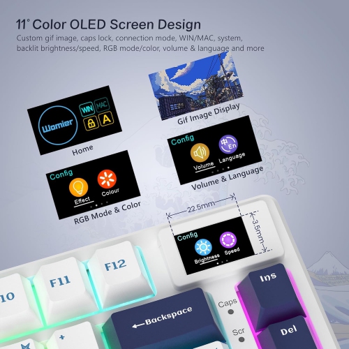 75% Keyboard with Color Multimedia Display Mechanical Gaming Keyboard, Wired Hot Swap Spacer Mount RGB Custom Keyboard, Pre-lubricated Stabilizer,