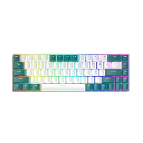 GREEN SCENIC  Mechanical Keyboard Chalk Version Axis 68-Key Mini Programmable Wired Keyboard, Type-C RGB Backlit Keyboard In Blue