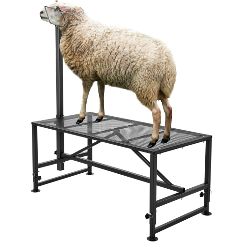 Image 1 de 9.. VEVOR 47x23 inch Goat & Sheep Stand, Livestock Stand, Metal Livestock Milking and Shearing Stand 21" to 33" Adjustable Height, with Headpiece and