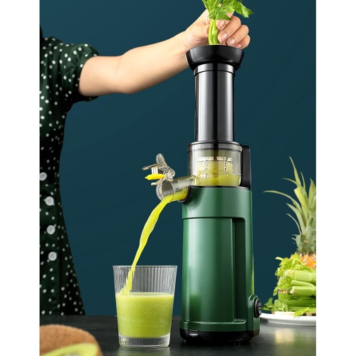 Portable Slow Cold Press Juicer, Lightweight Masticating Vegetable and Fruit Juicer, Compact Juicer with Brush and Juice Container