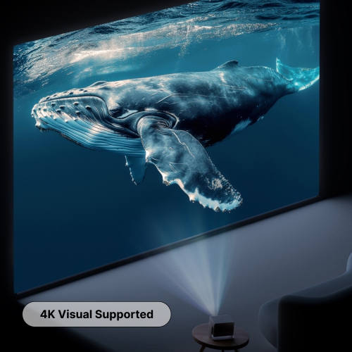 the MUBU Everglow 100” Fixed Frame Projector Screen – 4K Ready, High Contrast, Slim Frame