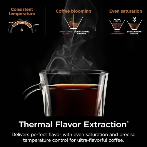 Ninja Hot & Iced Single Serve Coffee Maker with Rapid Cold Brew, 10-Cup Glass Carafe, CM360C