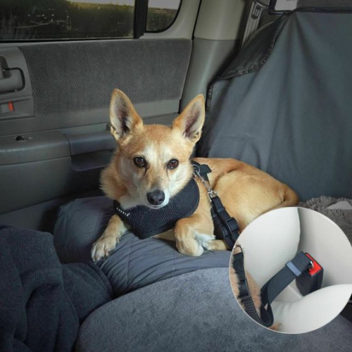 Dog car Seat Covers of Back Seat Cars/Trucks/SUV-Universal Size Waterproof,Hammock Style,Side Flaps, Non-Slip With one Dog car Seat Belt