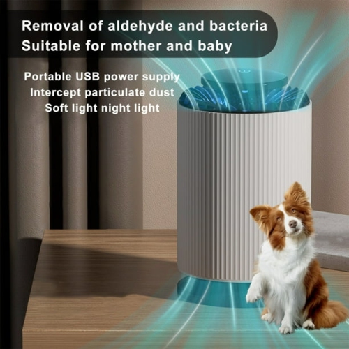 Two-in-one air purifier for home indoor formaldehyde removal, odor removal, smoke removal, purifier, home essential