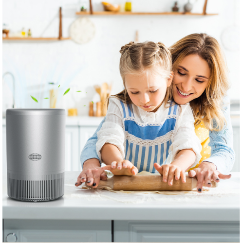 Ionisateur avec contrôle Wi-Fi – capture les bactéries, la fumée et le pollen – élimination de la formaldéhyde, conception silencieuse