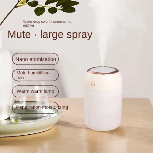 You Humidifier Colorful Light USB Large Mist Double Spray Nano Moisturizing Device - White