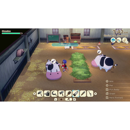 Story of Seasons: Grand Bazaar (Switch 2)