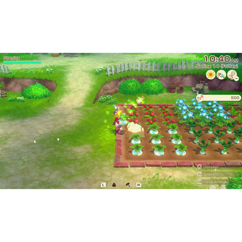 Story of Seasons: Grand Bazaar (Switch 2)