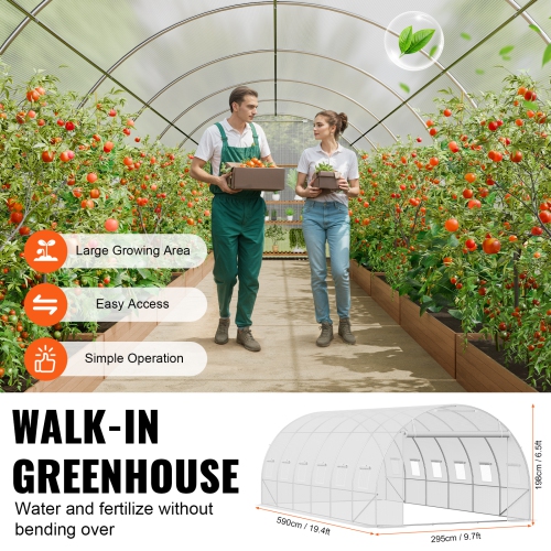 VEVOR 19.4x9.7x6.5 ft Walk-in Tunnel Greenhouse, Hoop House Greenhouse Tunnel, Plant Hot House with Galvanized Steel Frame, White PE Cover, Roll-up