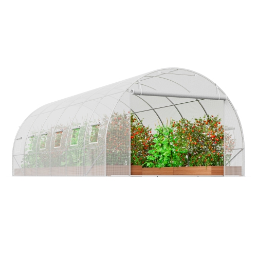 VEVOR 19.4x9.7x6.5 ft Walk-in Tunnel Greenhouse, Hoop House Greenhouse Tunnel, Plant Hot House with Galvanized Steel Frame, White PE Cover, Roll-up