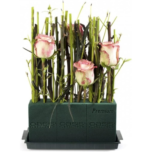 Oasis Ideal Floral Foam Max Life, Green