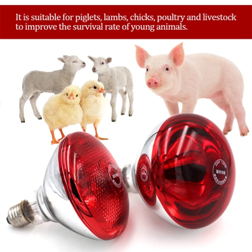 Infrared lamp heat lamp, poultry pet heat lamp, pig and chicken heat lamp lighting, for livestock night warmth