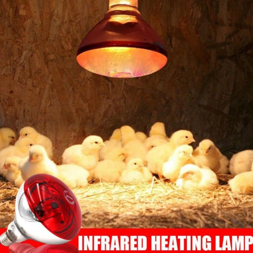 Infrared lamp heat lamp, poultry pet heat lamp, pig and chicken heat lamp lighting, for livestock night warmth