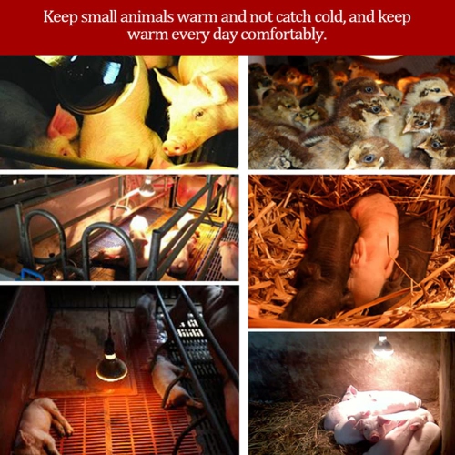 Infrared lamp heat lamp, poultry pet heat lamp, pig and chicken heat lamp lighting, for livestock night warmth