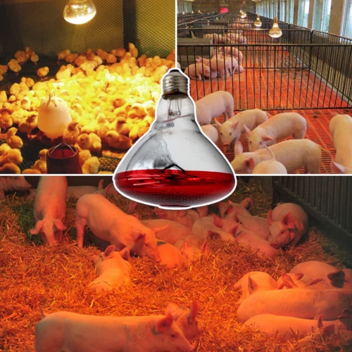 Infrared lamp heat lamp, poultry pet heat lamp, pig and chicken heat lamp lighting, for livestock night warmth