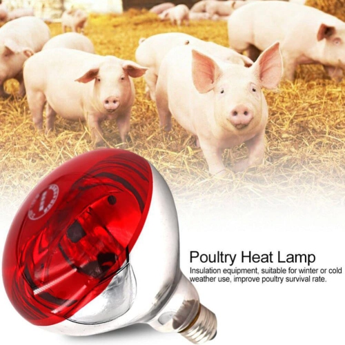 Infrared lamp heat lamp, poultry pet heat lamp, pig and chicken heat lamp lighting, for livestock night warmth