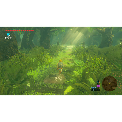 The Legend of Zelda: Breath of the Wild - Nintendo Switch 2 Edition