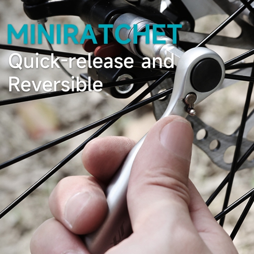 Mini Ratchet and Screwdriver Set,41-Pieces,Polycarbonate and Alloy Steel,Compact and Portable