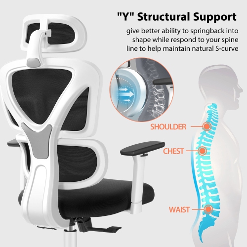 Coolse Ergonomic Mesh Office Chair – Adjustable Headrest, Lumbar Support & Armrests for Home, School, or Gaming （White）