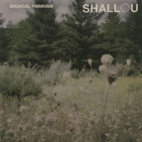 Image 1 of 1.. Shallou - MAGICAL THINKING - Vinyl