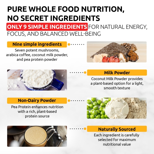 OS-MLT03 Mushroom Latte Blend | 7-Mushroom Formula | Arabica Coffee | Energy, Focus, Immunity | 14 oz