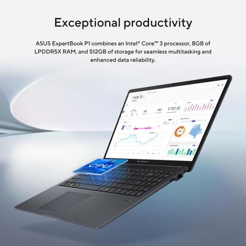ASUS ExpertBook P1 Laptop