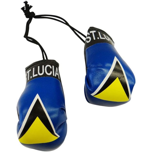 TJ BEST  Country Flags Mini Boxing Gloves Sports Souvenirs Auto Displays