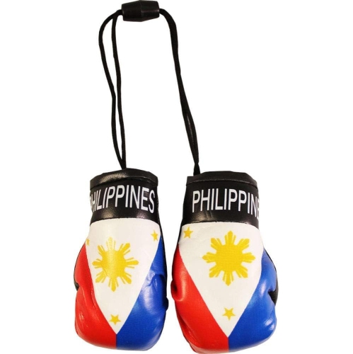 TJ BEST Country Flags Mini Boxing Gloves Sports Souvenirs Auto Displays