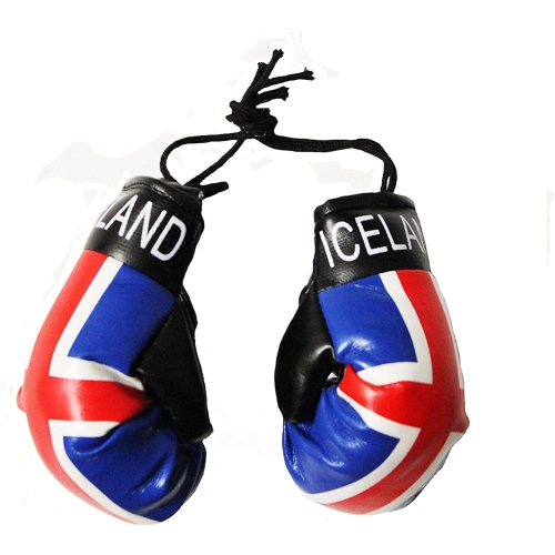 TJ BEST Country Flags Mini Boxing Gloves Sports Souvenirs Auto Displays