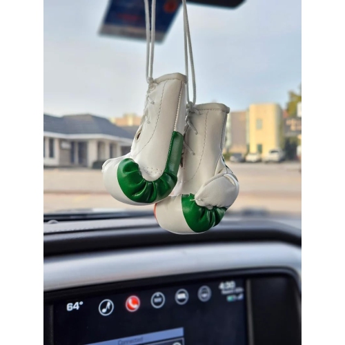 TJ BEST Country Flags Mini Boxing Gloves Sports Souvenirs Auto Displays