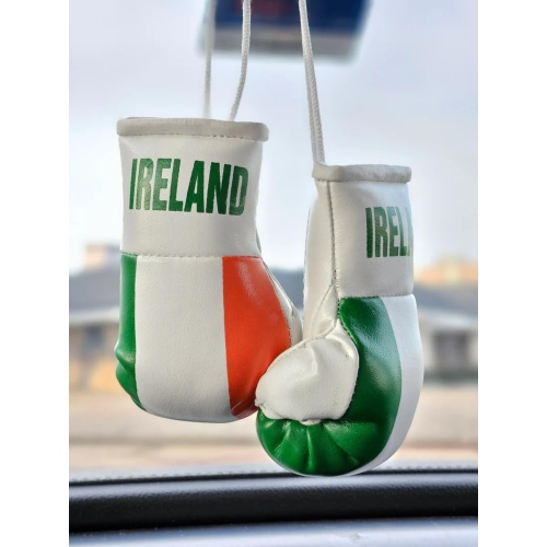 TJ BEST Country Flags Mini Boxing Gloves Sports Souvenirs Auto Displays