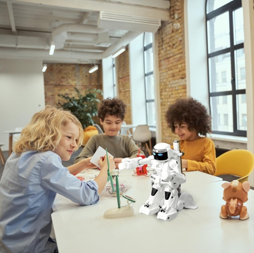 Robot de combat téléguidé, expérience de combat interactive portative, modèle de figurine d'action, cadeau des fêtes pour garçons et d'anniversaire