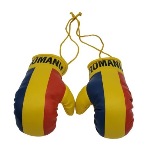 TJ BEST Country Flags Mini gants de boxe Souvenirs sportifs Présentoirs automobiles