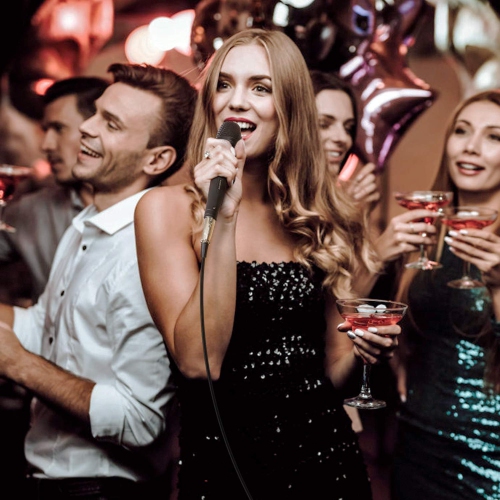 Microphone for Singing with 5m XLR Cable, Metal Handheld Mic Compatible with Karaoke Machine/Speaker/Amp/Mixer for Karaoke Singing, Speech,Outdoor