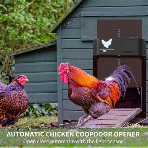 Porte à poule automatique avec détection de la lumière de la pile - Brun