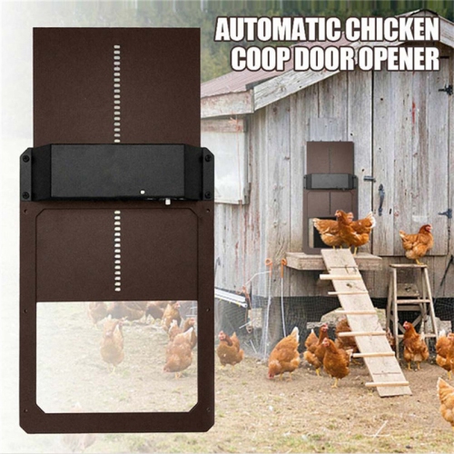 Porte à poule automatique avec détection de la lumière de la pile - Brun
