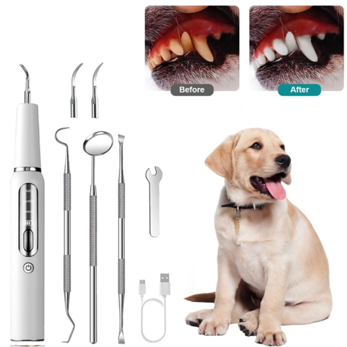 Image 1 of 8.. Plaque & Tartar Remover for Dogs Cats,Pets Dental Scaler with LED Light,Electric Dog Teeth Cleaning Tools 3 Cleaning Mode