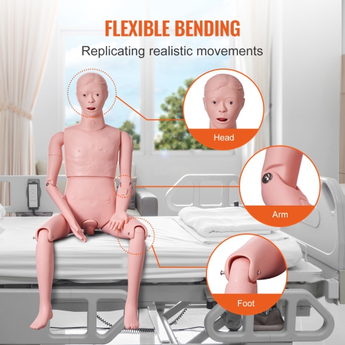 VEVOR Male Life Size Demonstration Human Manikin for Nursing Training, Multifunctional Education Teaching Model Supplies, PVC Anatomical Mannequin