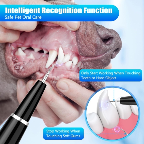 Dog Plaque Remover for Teeth,Dog Teeth Cleaning Kit with LED Light and 5 Modes,Teeth Cleaner for Dogs & Cats