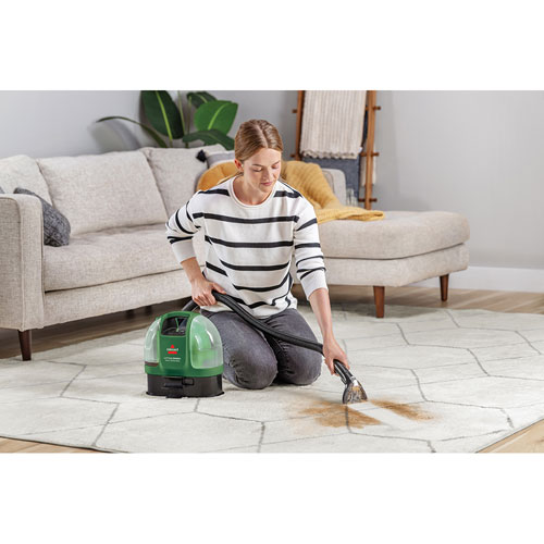 Petit nettoyeur portatif sans fil pour tapis et tissus Little Green de Bissell - Pin