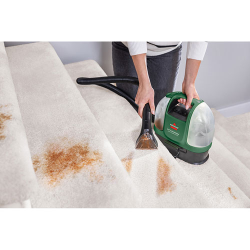 Petit nettoyeur portatif sans fil pour tapis et tissus Little Green de Bissell - Pin
