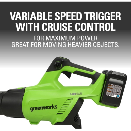 Greenworks 2 x 24V Brushless Axial Leaf Blower (140 MPH / 585 CFM), (2) 4Ah USB Batteries and Dual Port Charger Included, Green