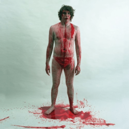 RED/FAT POSSUM  Jay Reatard - Blood Visions - [Vinyl]